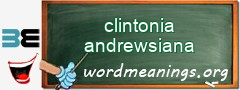 WordMeaning blackboard for clintonia andrewsiana